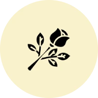 Trusted Funeral Services – Cremation, Burial & Memorial Options Trusted Funeral Services – Cremation, Burial & Memorial Options